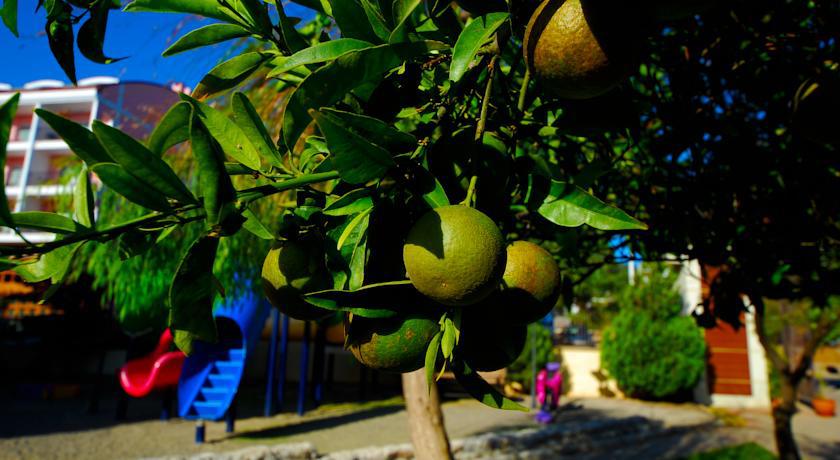 Luna Beach Deluxe Hotel Marmaris Eksteriør billede
